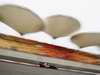 GP Cina - Prove Libere